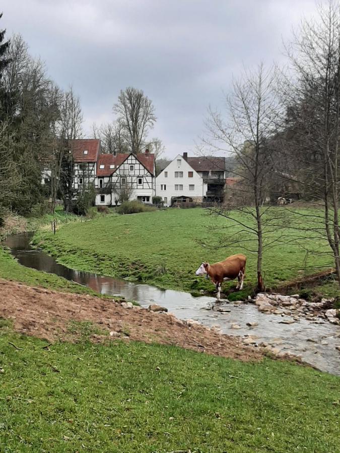 Haus An Der Werbe Leilighet Waldeck  Eksteriør bilde