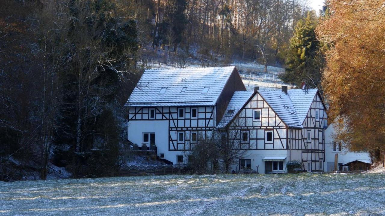 Haus An Der Werbe Leilighet Waldeck  Eksteriør bilde