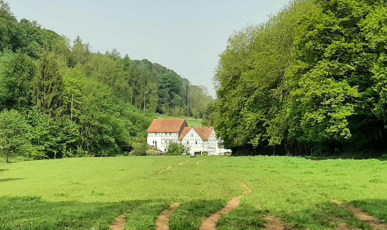 Haus An Der Werbe Leilighet Waldeck  Eksteriør bilde